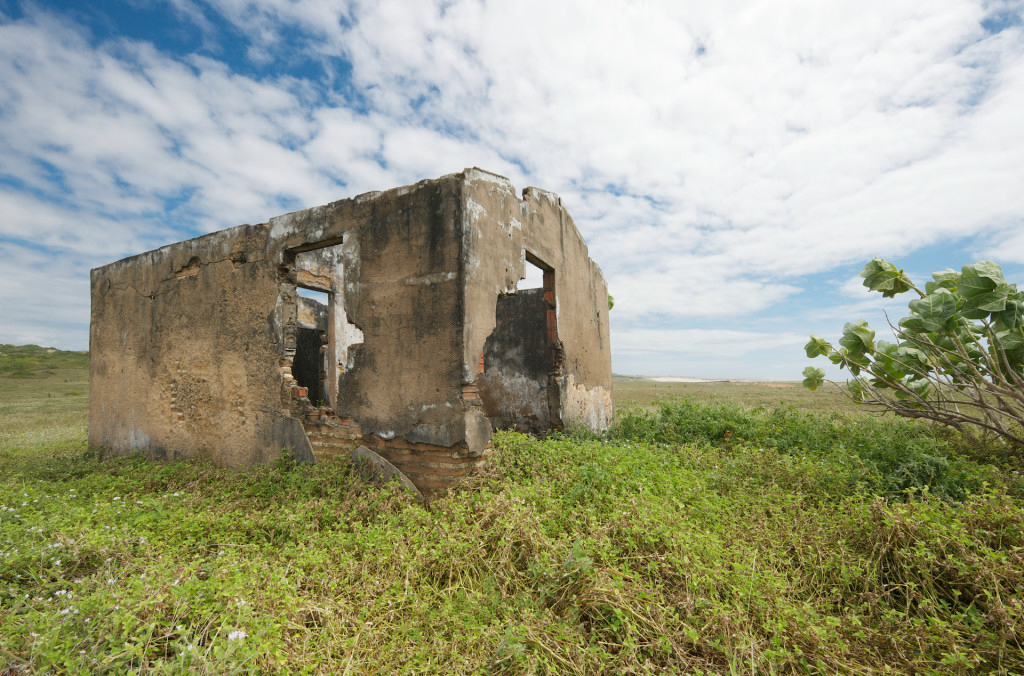 Ruins of an abandoned house - among bushes, grass and flowers - near the coastline of Brazil.